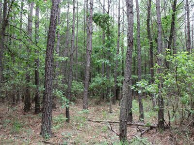 0 Mott Rd, Plain Dealing, LA, 71064