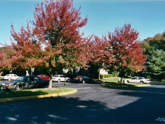 Parking Lot