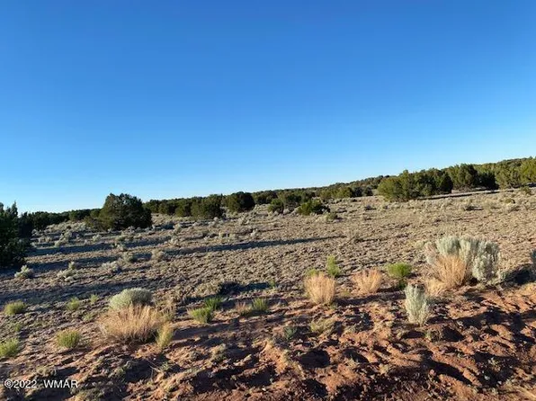 LOT 230 Red Sky Ranch St, Saint Johns, AZ 85936