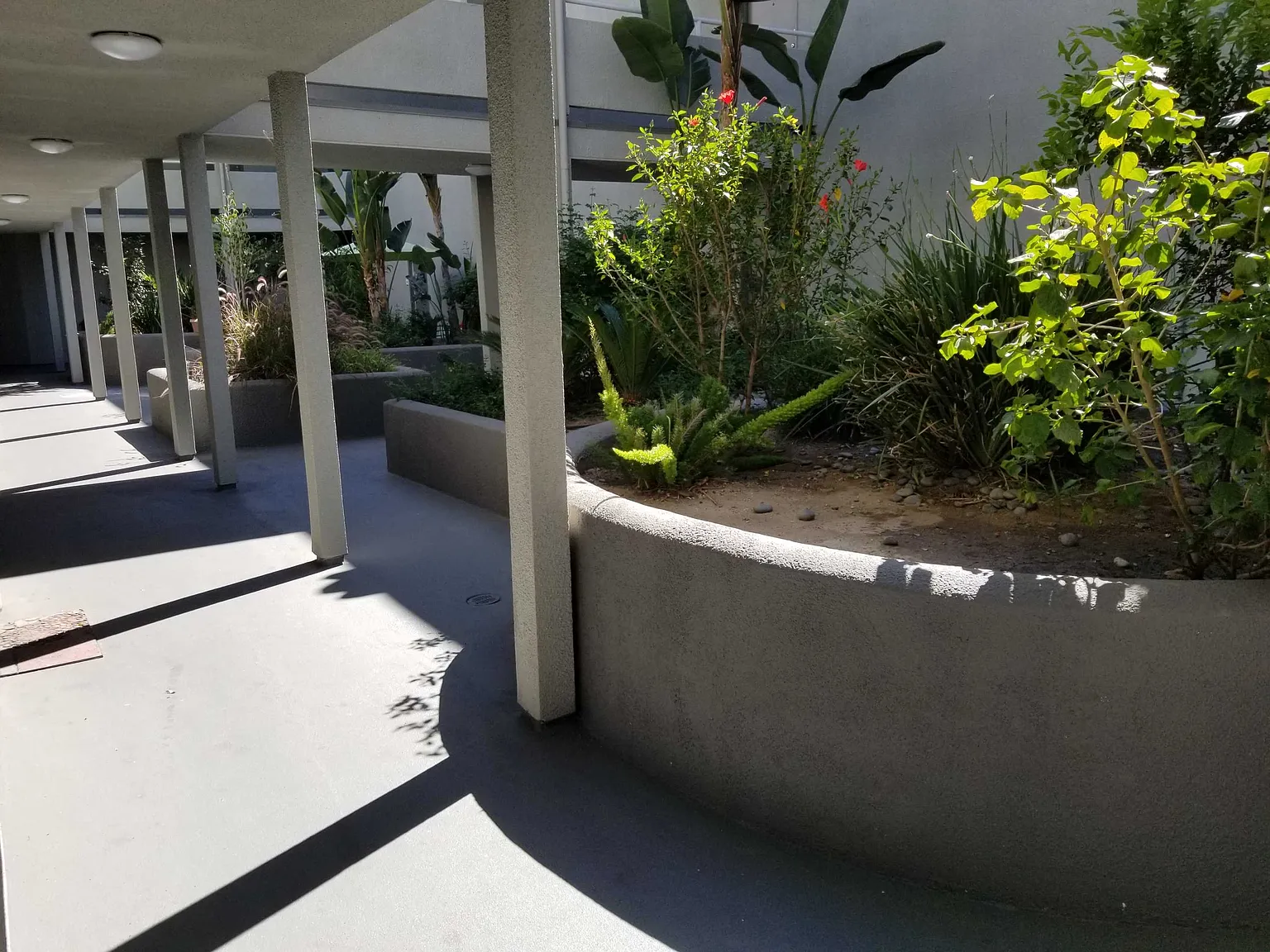 1 bed, $1,895 — Photo 4