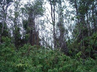 LOT 4 Lot 4, Volcano, HI 96785