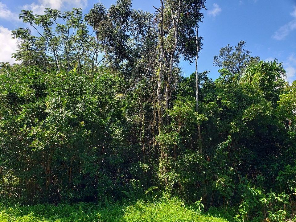 1st image of Manini St Lot 1197