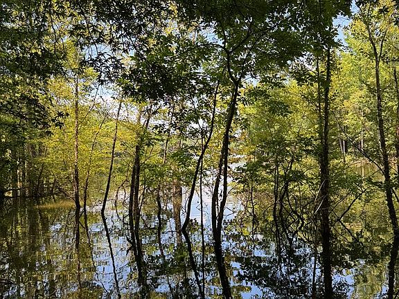 3rd image of 662 Old School Rd