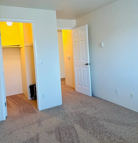 Bedroom with walk-in closet