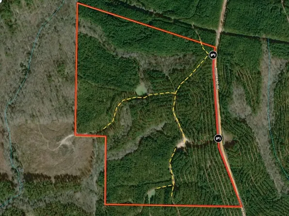 Woodard Rd, Greenville, GA 30222