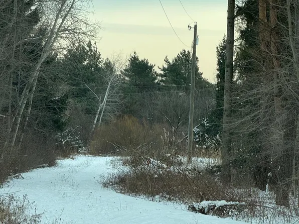 3865 Wills Rd, Croswell, MI 48422