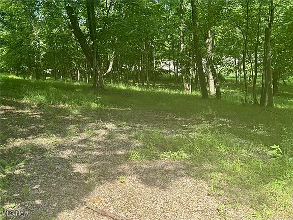 4th image of LOT 1 Mitchell Hill Dr