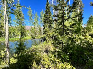 134 Mad Moose Lane, Grand Lake, CO 80447