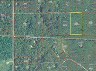 Allard Acres Parcel #17, Johannesburg, MI 49751