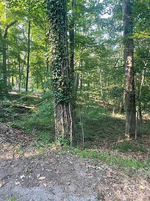 1st image of 0 Travelers Rest Ln