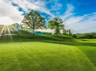 120 Palmer Drive, Branson, MO 65616