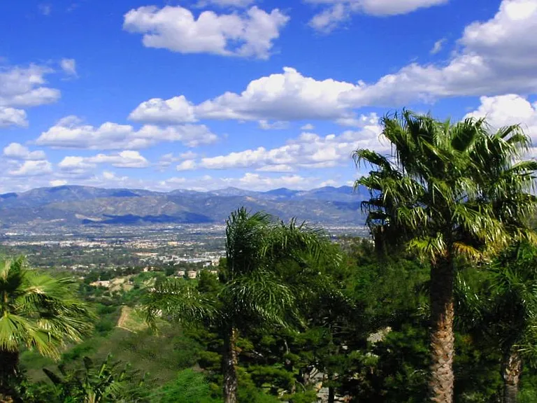 13318 Mulholland Dr — Photo 27