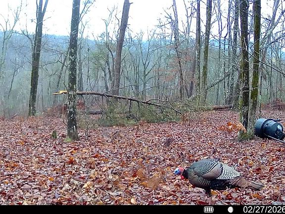 4th image of 0A Meece Mill Rd