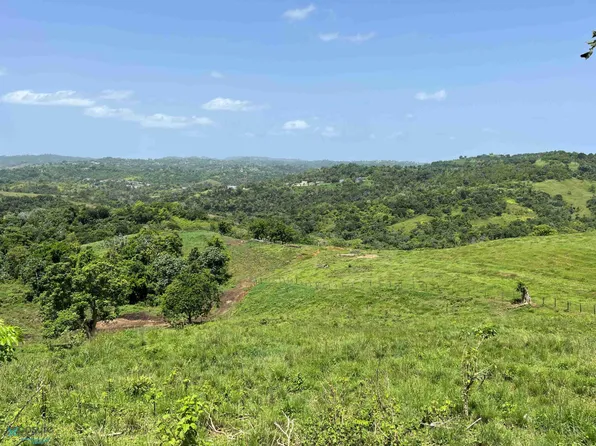 Km .5 Carr #420, Moca, PR 00676