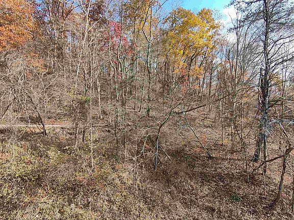 3rd image of 202 Township Road 93 S