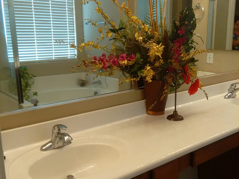 master bathroom /double sinks