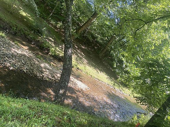 4th image of 542 Tessentee Woods Rd