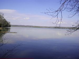 2nd image of 1595 County Road 2608