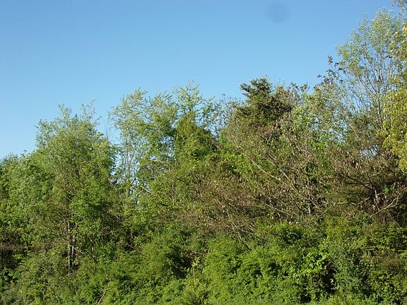 2nd image of 1815 Country Club Dr