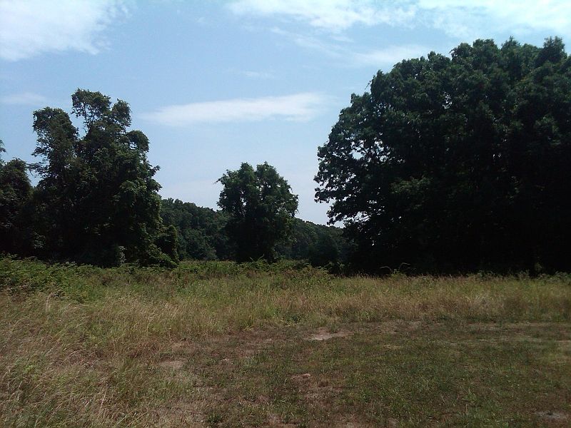 2nd image of 240 Potterstown Rd