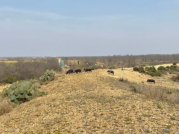 4th image of 282/- Acres Cattle & Hunting Ranch Dimmit County Off Hwy #85