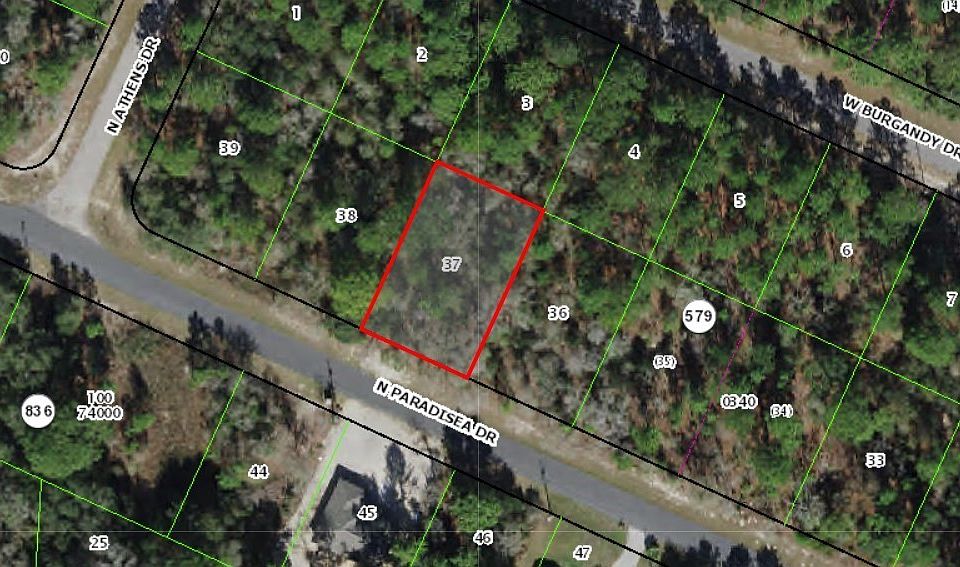 1st image of 8717 N Paradisea Dr