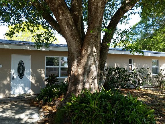 Big Tree In Front of House