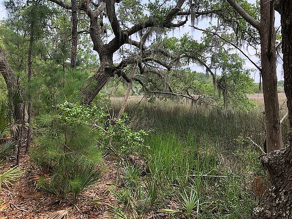 View in middle of property