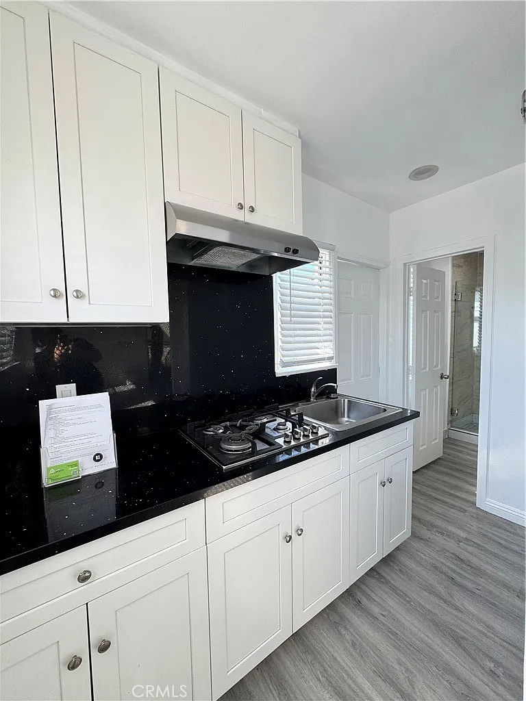 2 bed, 432 sqft, $1,950 — Photo 3