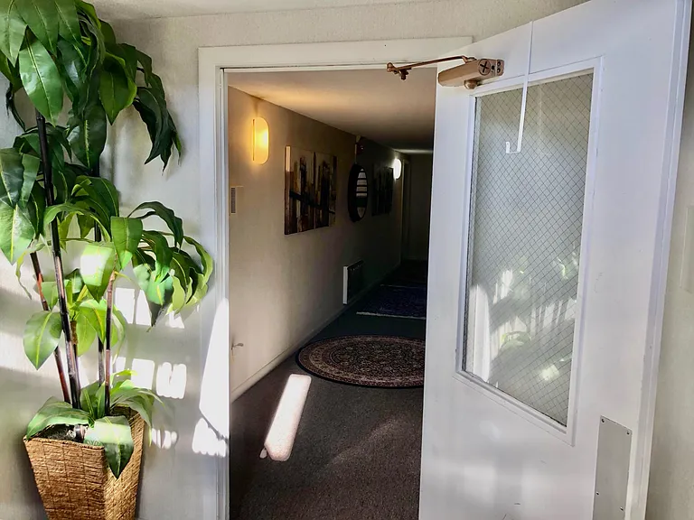 30 Dana Rd #3B — Photo 30