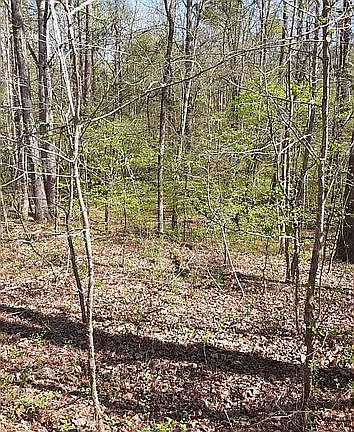 3rd image of 0 Ace Dr Lot 74