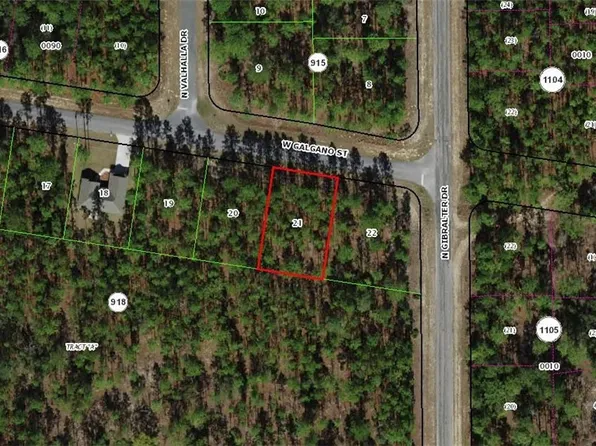 1148 W Galgano St, Citrus Springs, FL 34434