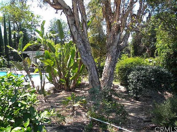5th image of 14924 Mar Vista St
