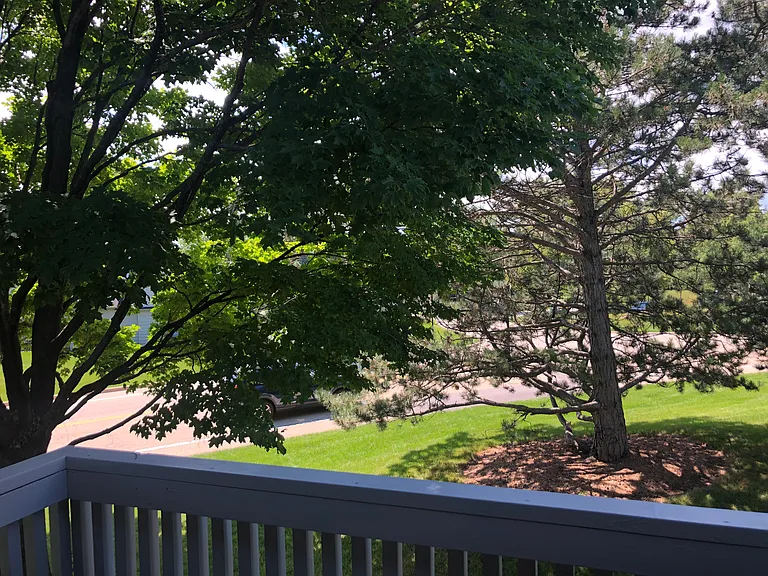 658 Beth Ct — Photo 32