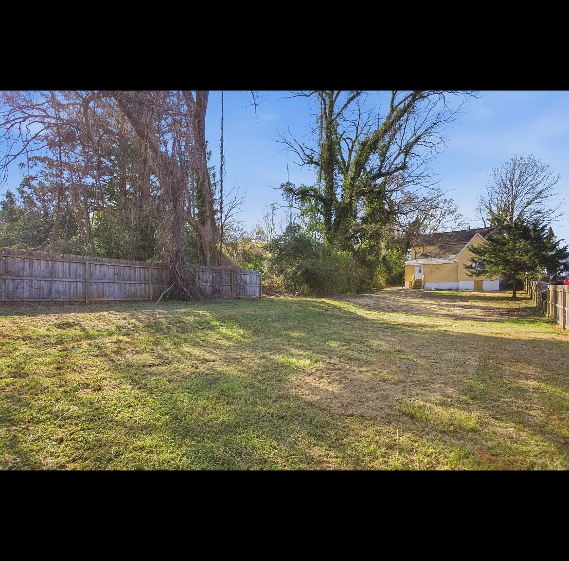 W Mauldin St, Walhalla — Photo 4