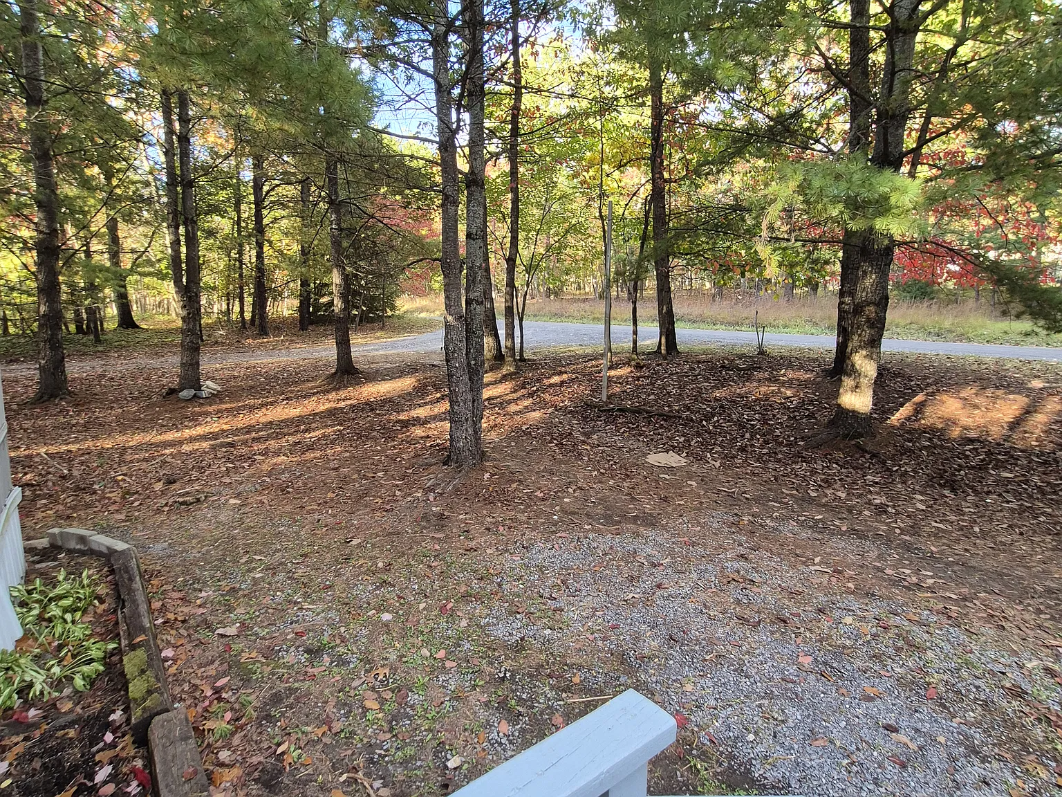 2 bed, 800 sqft, $1,195 — Photo 4