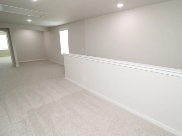 4129 Hazel Branch Way — Photo 20