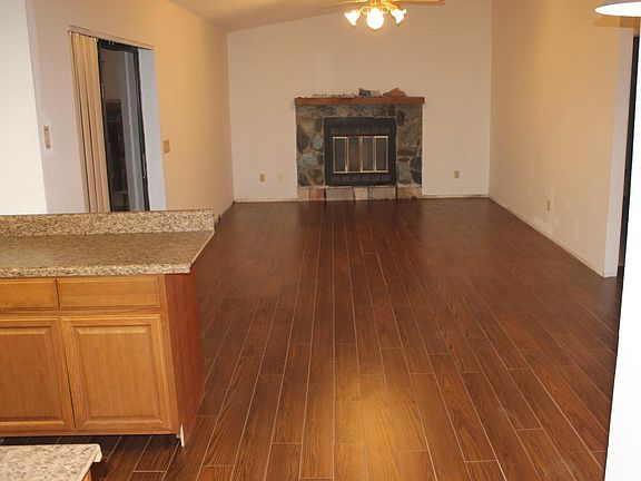 Family Room fire place