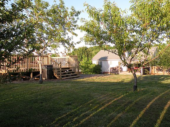 Backyard from right Corner