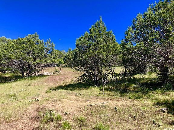 3rd image of 310 Red Ledges Blvd Lot 124