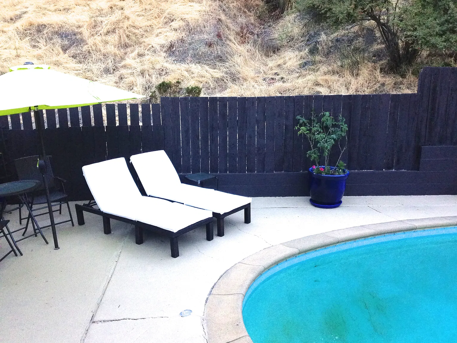 2 bed, 1000 sqft, $3,800 — Photo 4