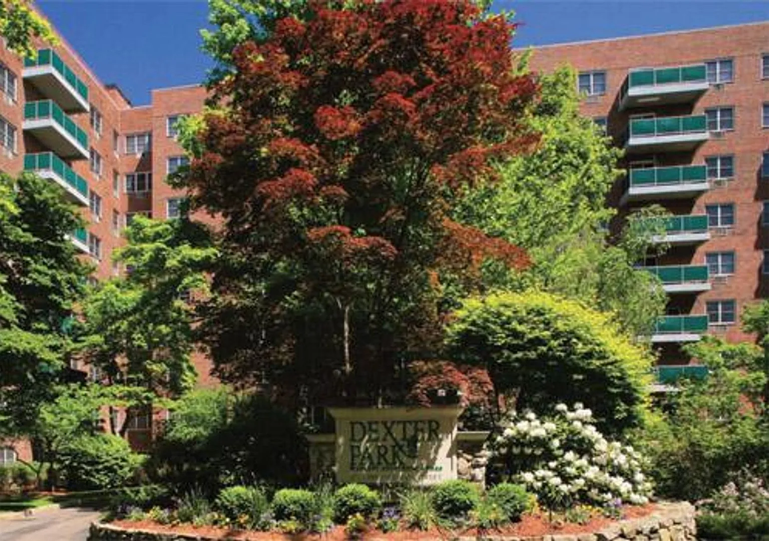 Coolidge Corner 3 Bed Balcony | No Broker Fee — Photo 1