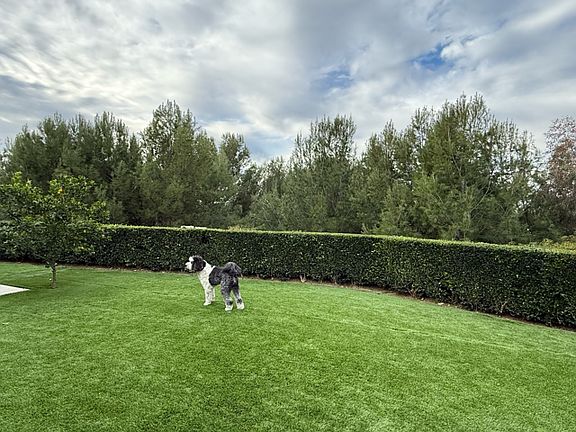 4th image of 3011 Joaquin Dr