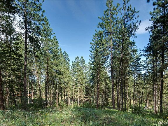 4th image of 0 Whitebark Ln Lot 60