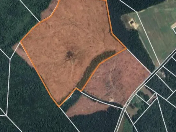 Plain View Ln, Shacklefords, VA 23156