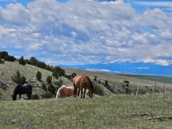 1590 Four Rivers Rd, Three Forks, MT 59752