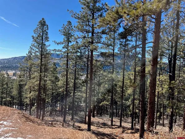 276 Deer Ridge Drive, Bayfield, CO 81122