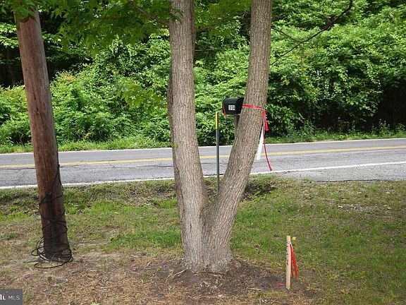 5th image of 16106 Bealle Hill Rd