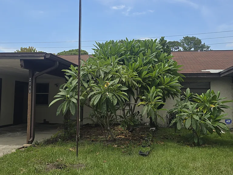 2048 Sunset Grove Ln — Photo 4