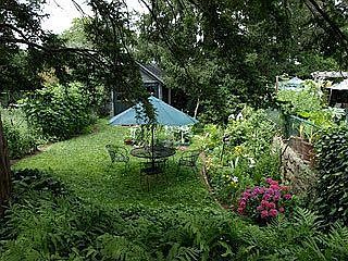Lovely back yard/gardens